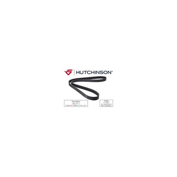 Courroie d accessoires hutchinson 690SK5